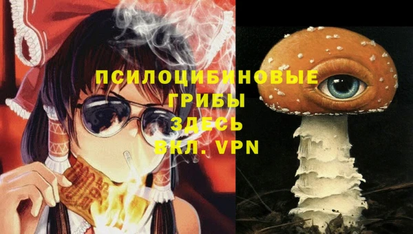 спиды Горнозаводск