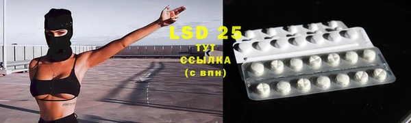 экстази Гусев