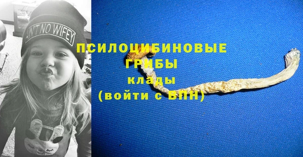 экстази Гусев