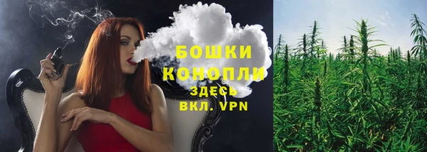 экстази Гусев